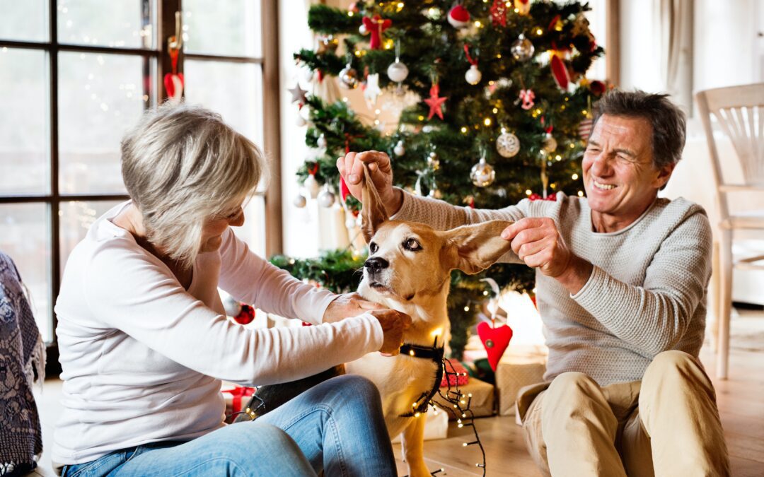 Happy Holidays to Older Dogs and Cats: Ideas for Joyful Events